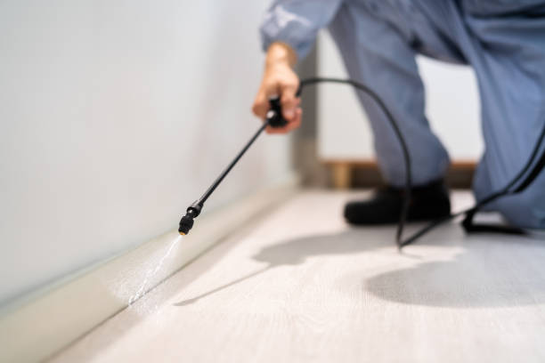 Licensed Cockroach Control service in Peoria, IL - Nex Pest Control