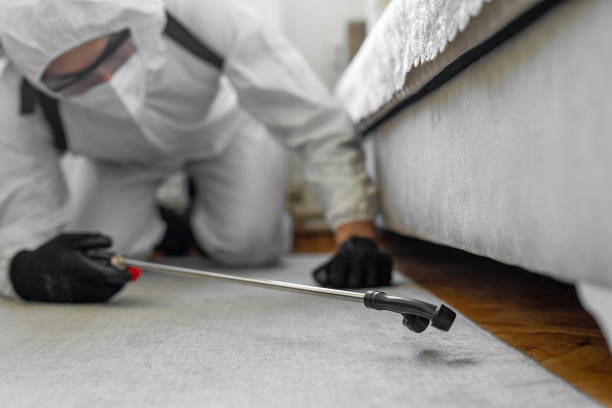 Professional Cockroach Control technician working in Peoria, IL