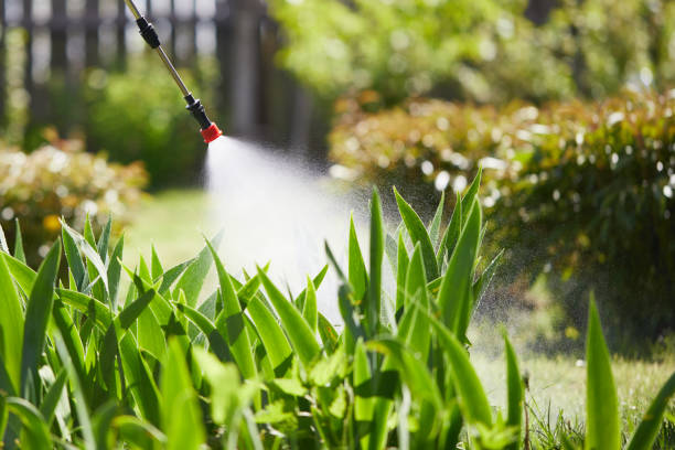 24/7 Emergency Cockroach Control experts in Peoria, IL