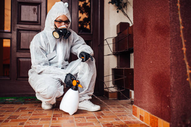 Reliable Cockroach Control contractor in Peoria, IL by Nex Pest Control